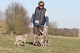 ADULTE ET CHIEN 040